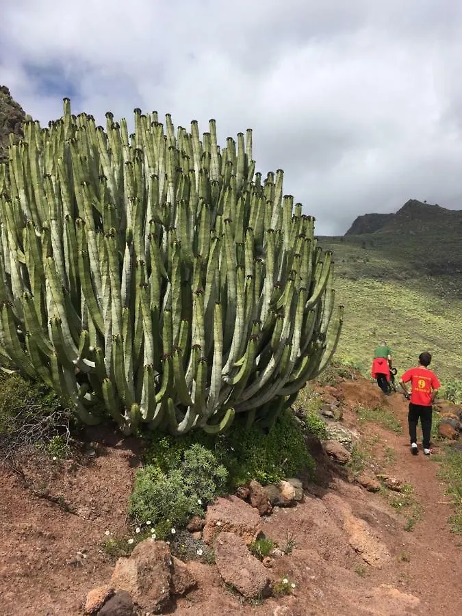 Апартаменты Casa Manel, La Gomera Сан-Себастьян-де-ла-Гомера Испания